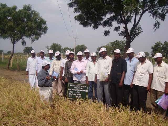 Farmers visit to Direct seeding with drum seeder plot.